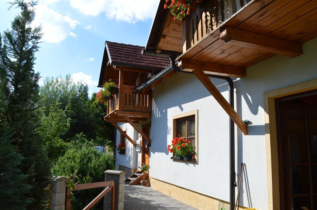 Pension Druhy Domov Nový Bor Exterior foto